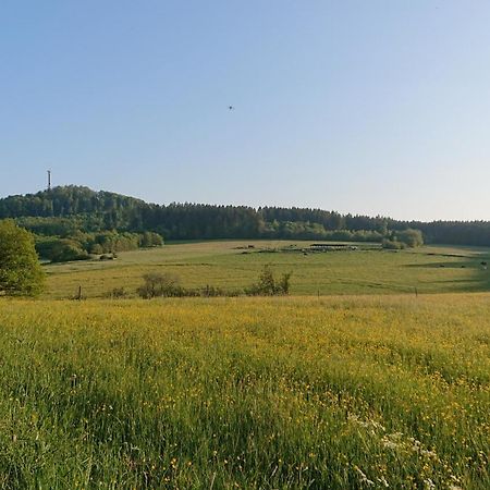 Ferienwohnung Am Hochkelberg Bereborn Exteriör bild