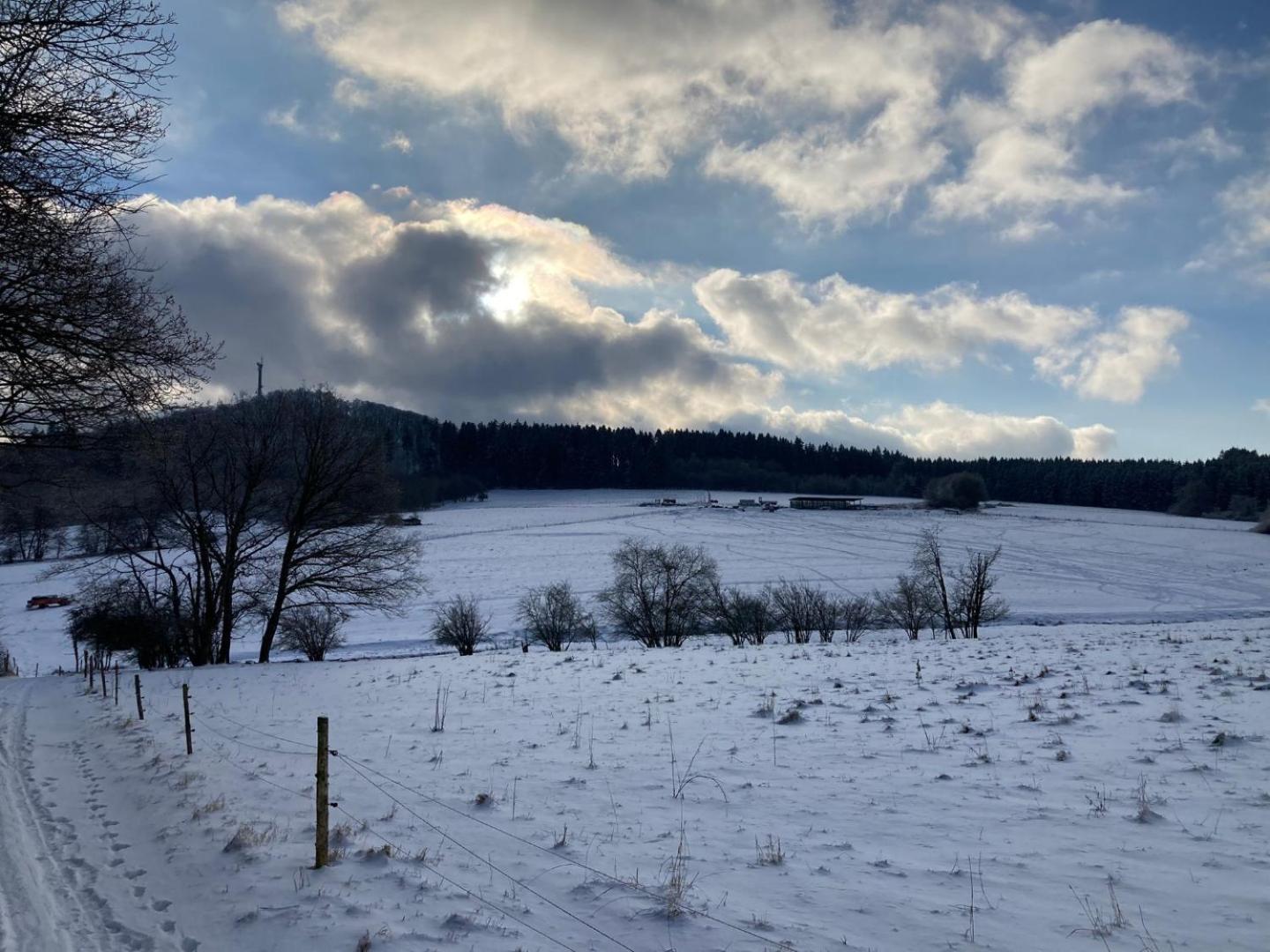 Ferienwohnung Am Hochkelberg Bereborn Exteriör bild