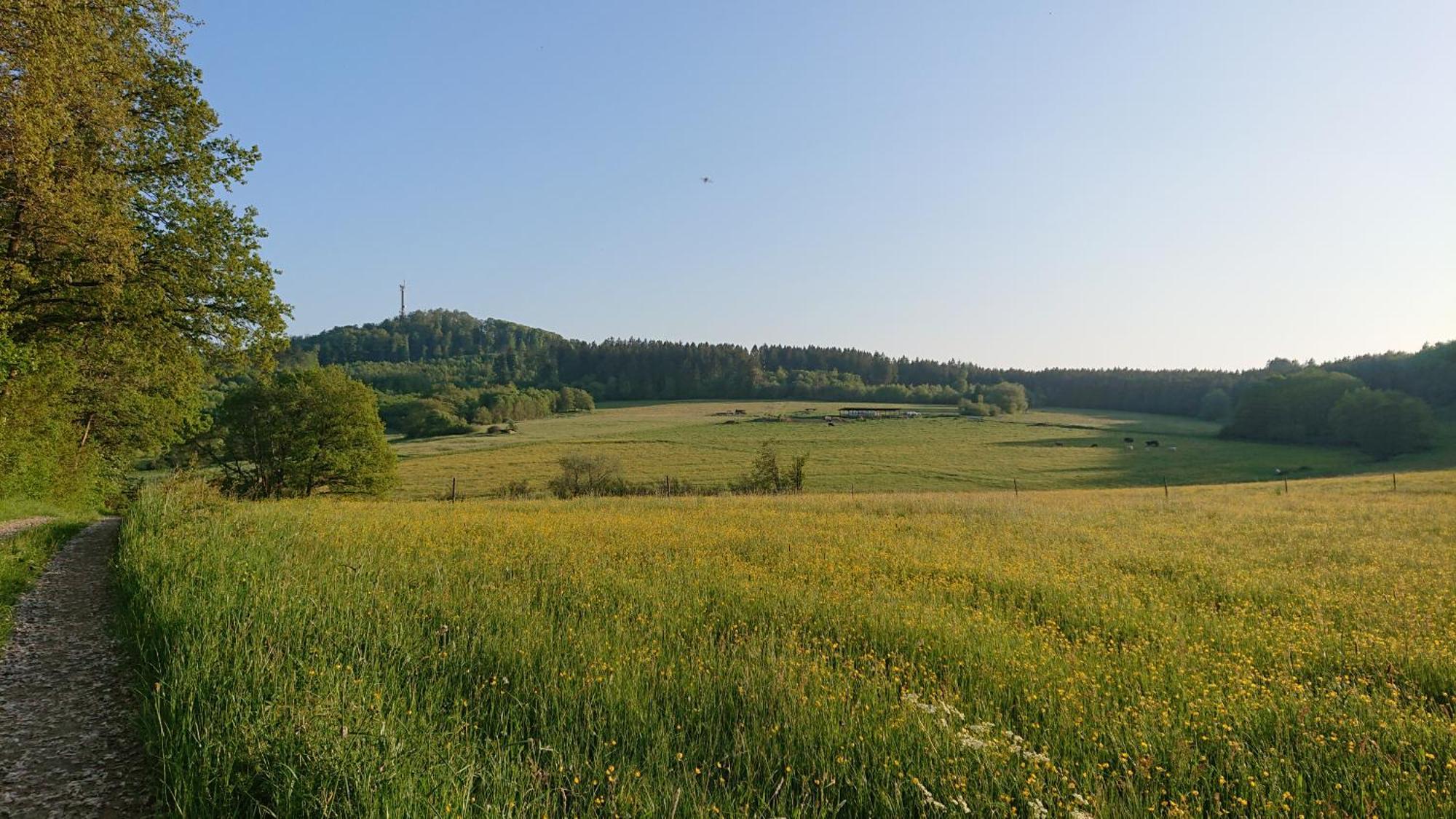 Ferienwohnung Am Hochkelberg Bereborn Exteriör bild